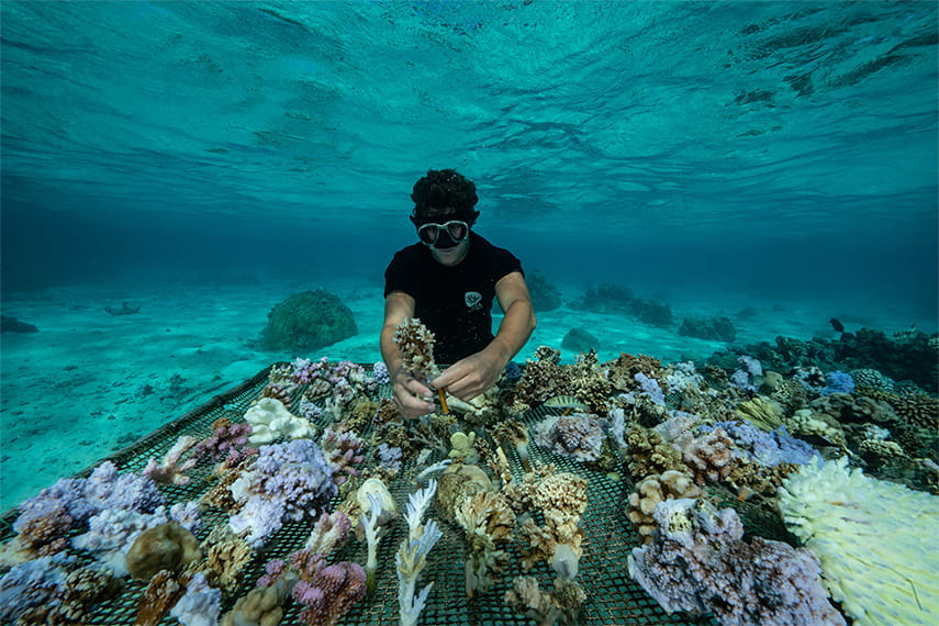 Cristina Mittermeier underwater holding coral.