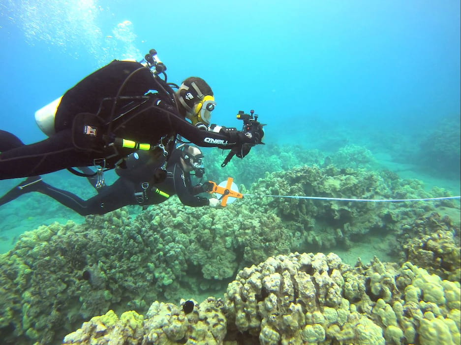 Two divers in scuba gear conducting research on coral reefs.