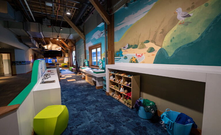 Our new Caring Cove play space for kids — Now open! - Seattle Aquarium