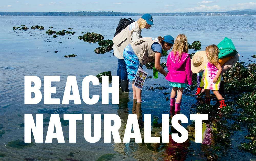 Beach Naturalist event image