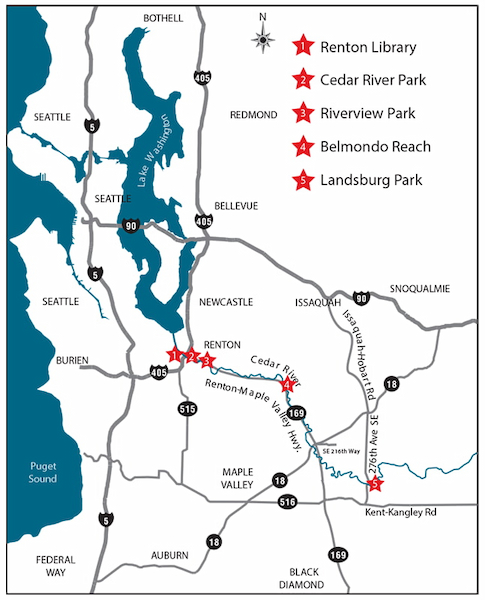 A map of the greater Seattle area. Five locations are marked with red stars: Renton Library, Cedar River Park, Riverview Park, Belmondo Reach, and Landsburg Park.