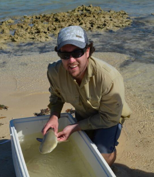 Species recovery program manager Riley Pollom posing with a baby lemon shark on a beach.