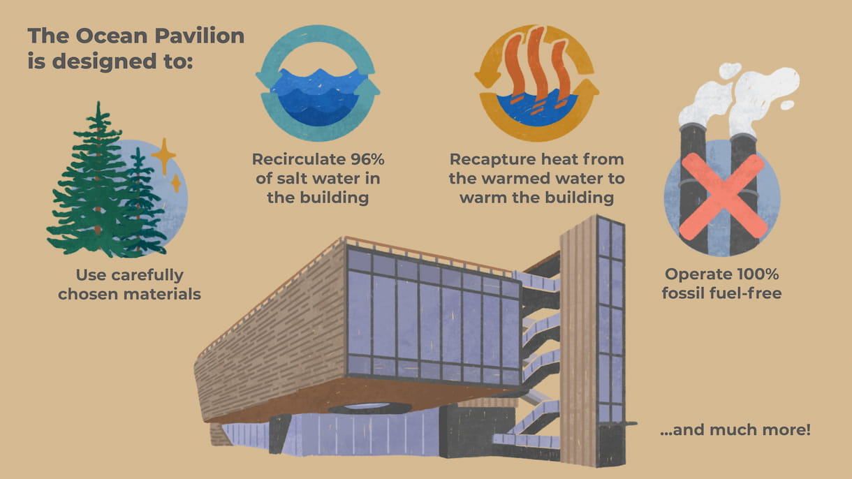 An illustration of the Ocean Pavilion. Text on the illustration reads: "The Ocean Pavilion is designed to: Use carefully chosen materials, recirculate 96% of salt water in the building, recapture heat from the warmed water to warm the building, operate 100% fossil fuel-free...and much more!"