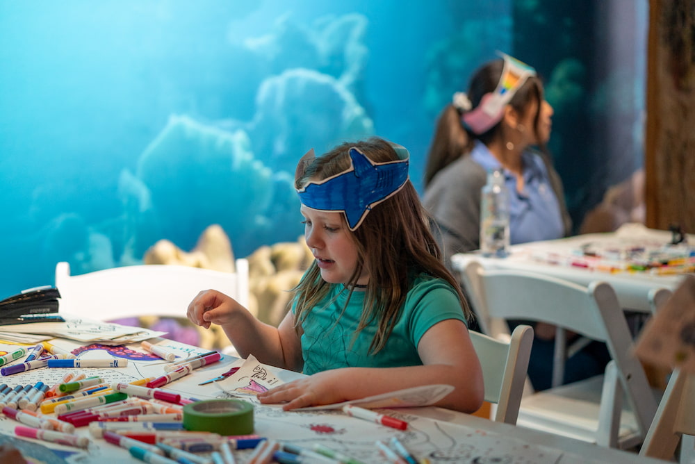 A young girl with a blue paper shark wrapped around her head like a crown.