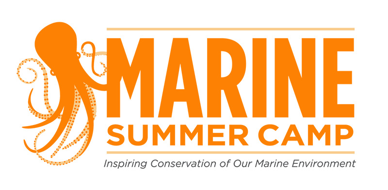 "Marine Summer Camp: Inspiring Conservation of Our Marine Environment" in orange text over a white background. An orange illustration of an octopus is on the left side of the image.