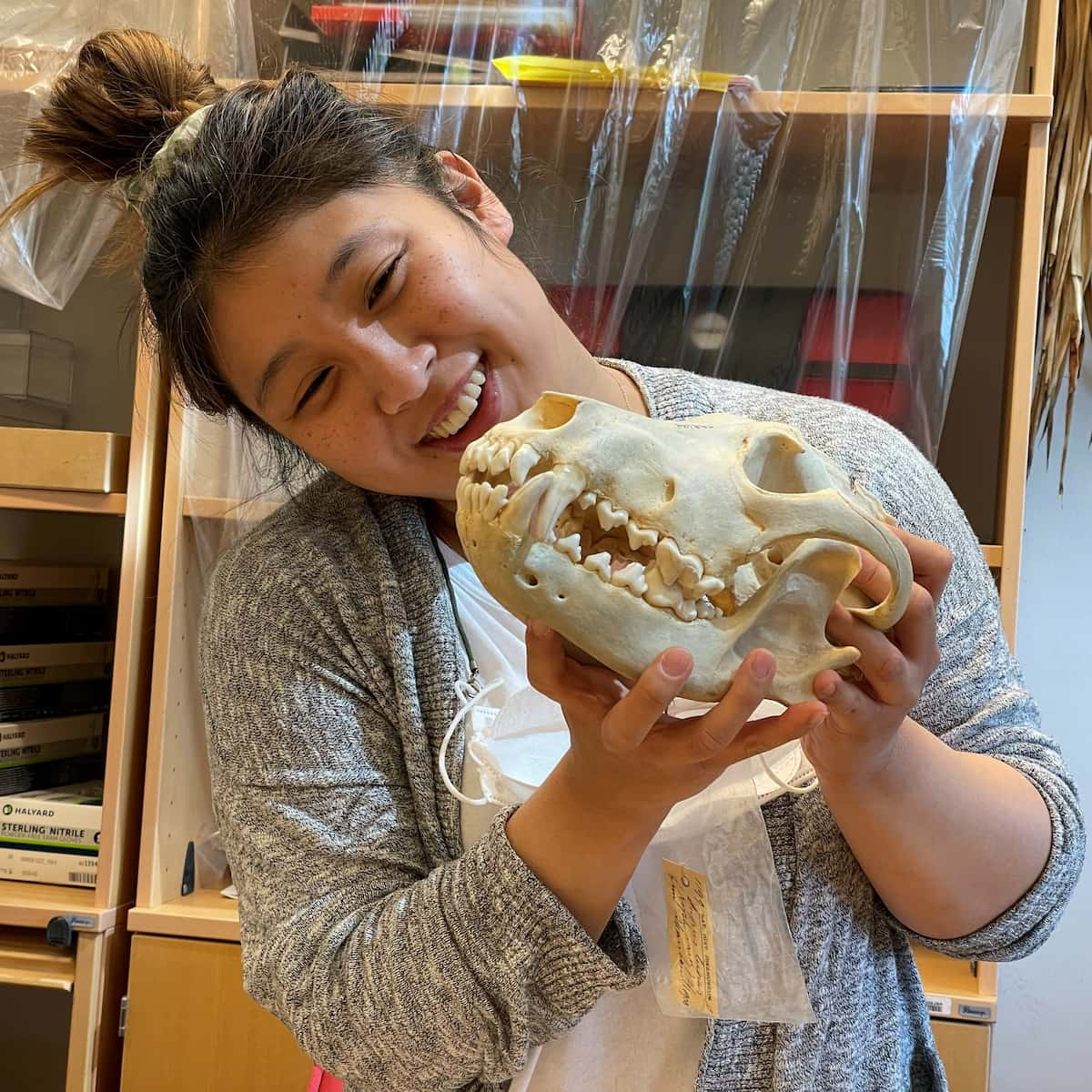 Hyejoo Ro holding a gray wolf skull in two hands.