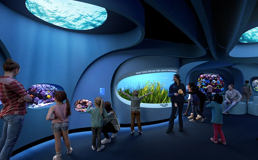 Rendering depicting guests looking at multiple habitats featuring different tropical marine life in the Seattle Aquarium's Ocean Pavilion At Home in the Ocean space.