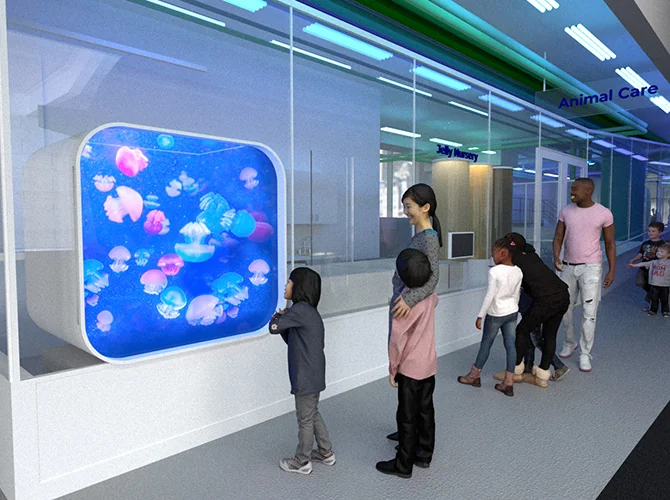 Rendering depicting guests looking at the Jelly Nursery, a new featured area of the Seattle Aquarium's Ocean Pavilion expansion.