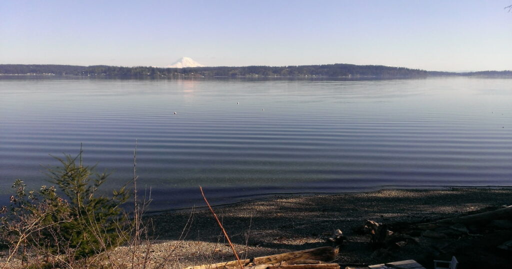 Ripples across the Salish Sea. A mountain can be seen in the background.