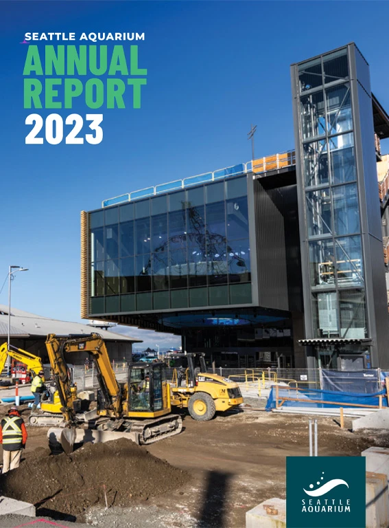 Seattle Aquarium Annual Report 2023, photo of the Seattle Aquarium's Ocean Pavilion building with construction equipment in front during the construction process.