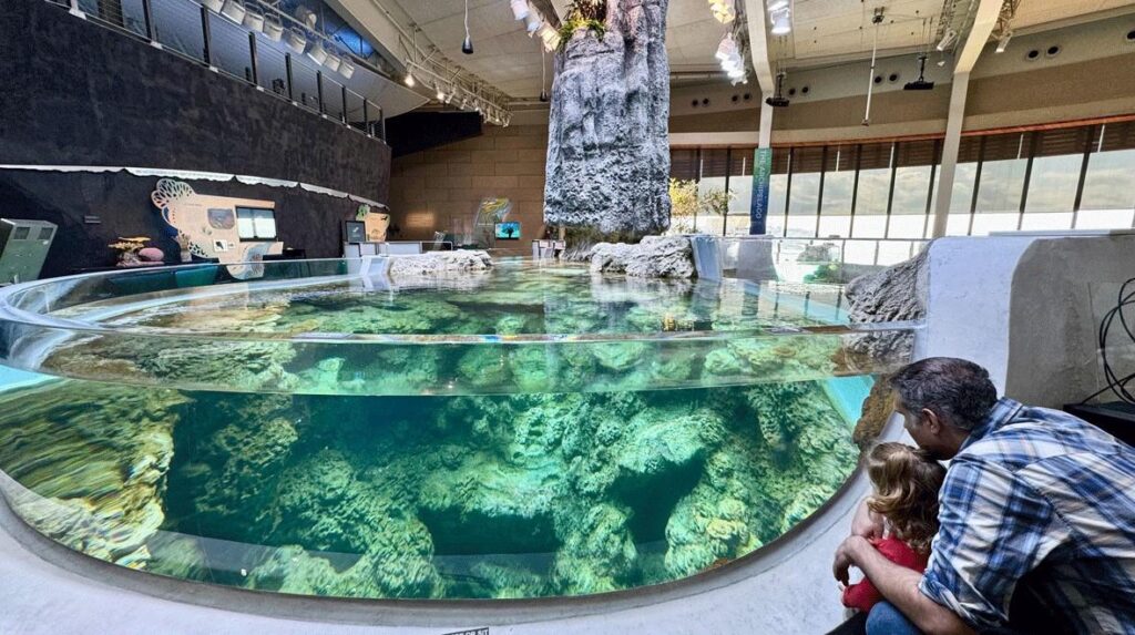 A father and child crouching to observe The Archipelago habitat in the Ocean Pavilion.