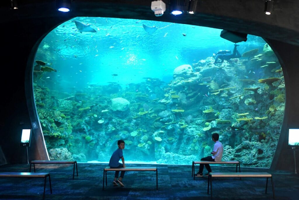 Two children sitting in front of the window on The Reef habitat.