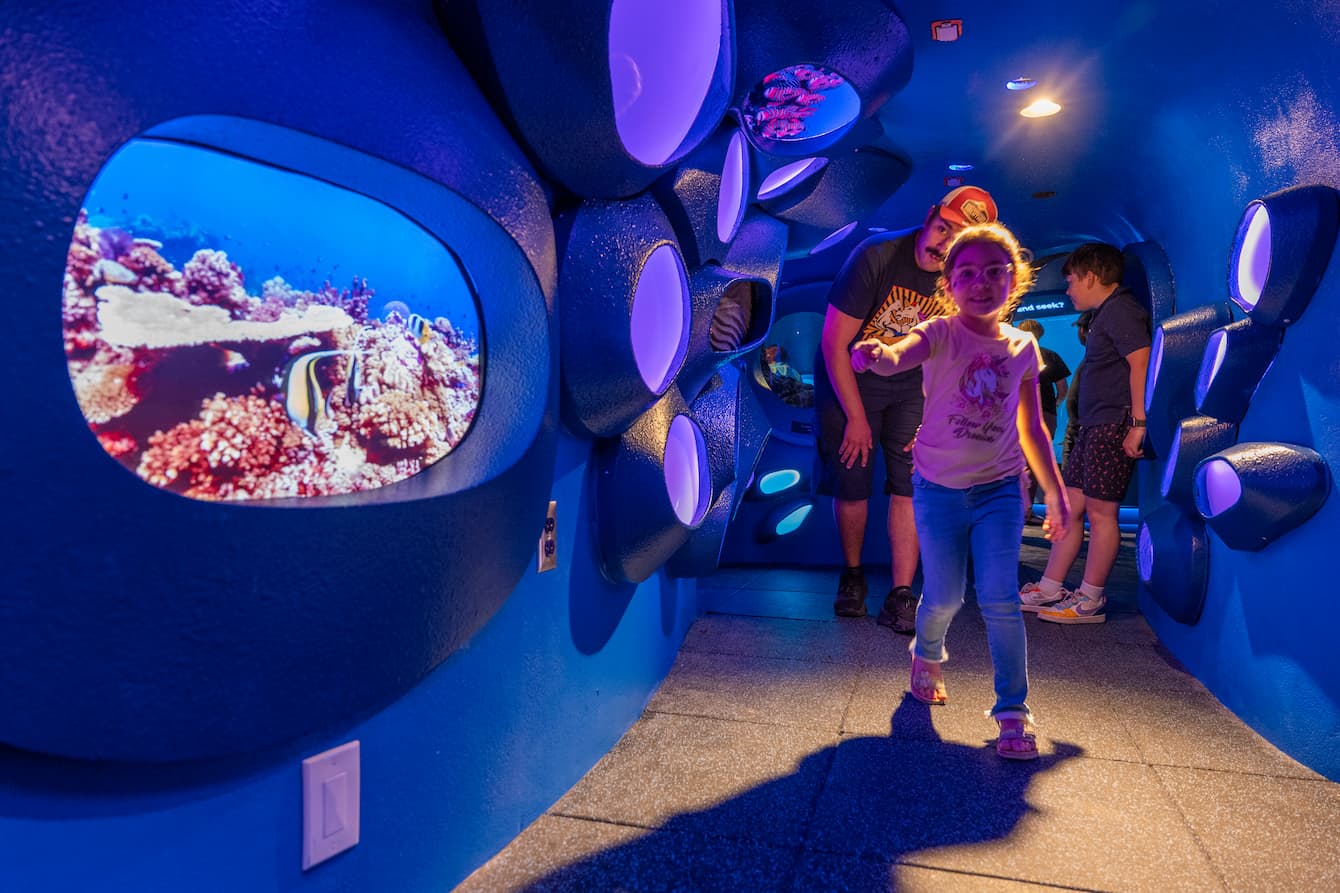 A young girl excitedly walking through the crawl-through space in the Ocean Pavilion's At Home in the Ocean habitat. She is surrounded by oval screens showing footage of coral reefs.