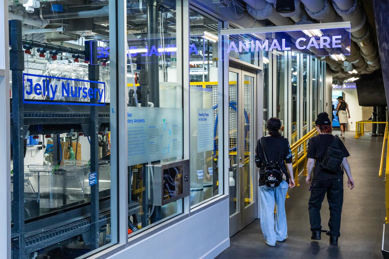 Two people walking along a hallway next to the Ocean Pavilion's Animal Care space.