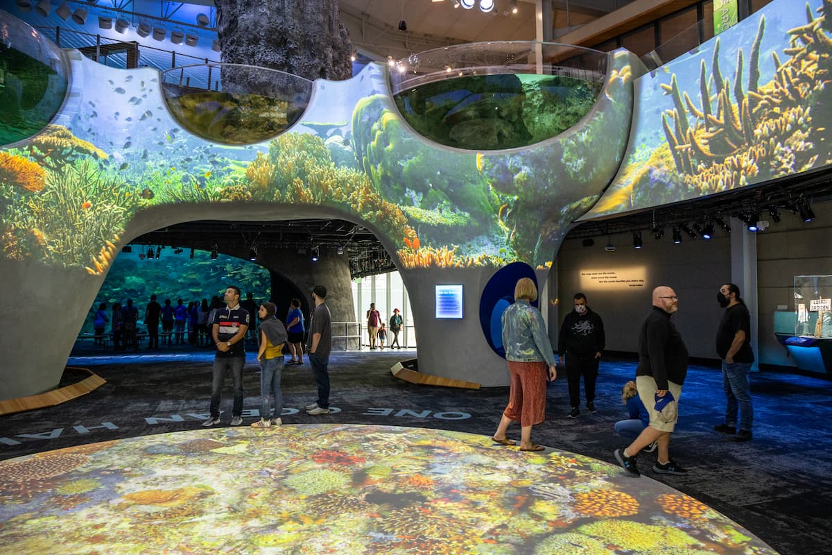 The Ocean Pavilion's One Ocean Hall. The walls are covered in floor-to-ceiling projections of coral reefs.