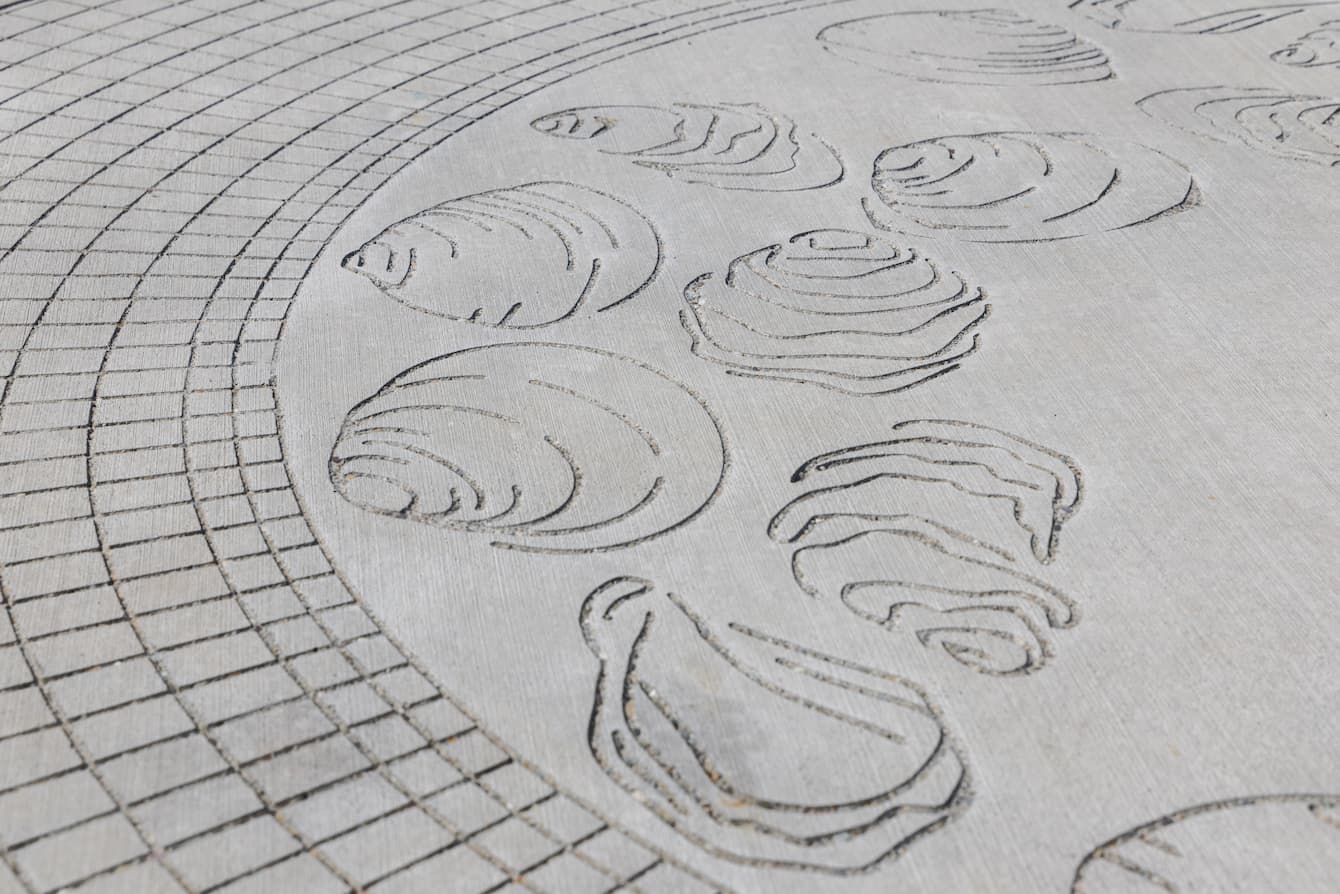 Oysters carved into the concrete floor of the Ocean Pavilion's rooftop.