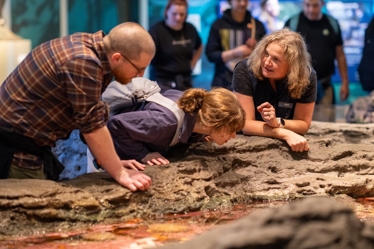 A Seattle Aquarium volunteer speaking to two people as they lean over the touch pools.