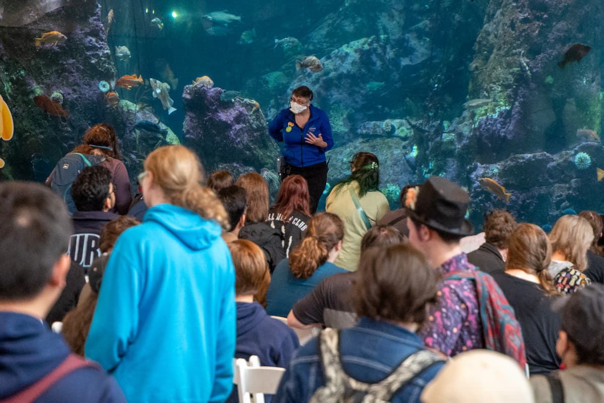 An Aquarium volunteer doing a presentation to a crowd of people in front of the Window on Washington Waters habitat.