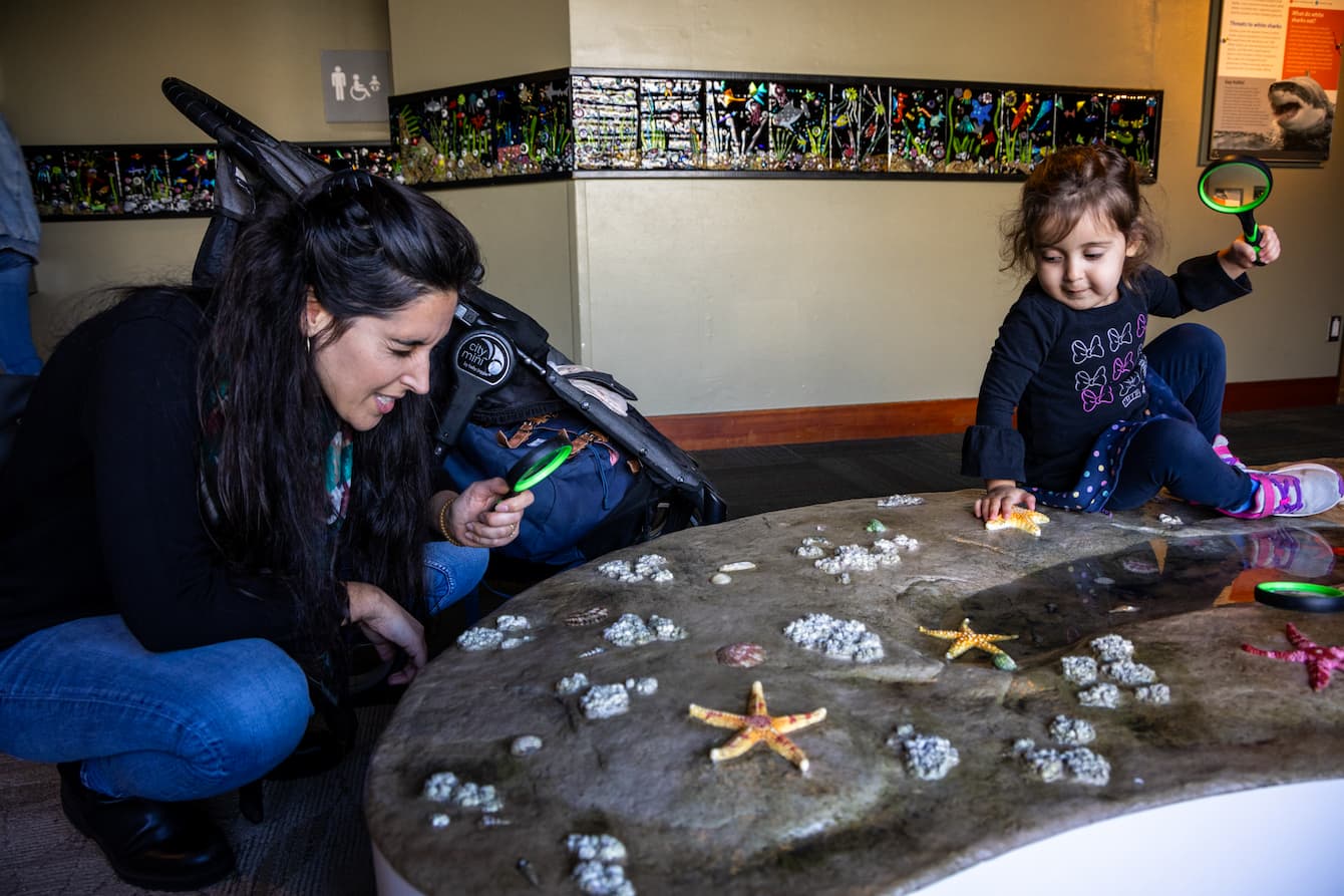 A mother and child using magnifying glasses to investigate a mock tide pool in the Seattle Aquarium's Caring Cove playspace.