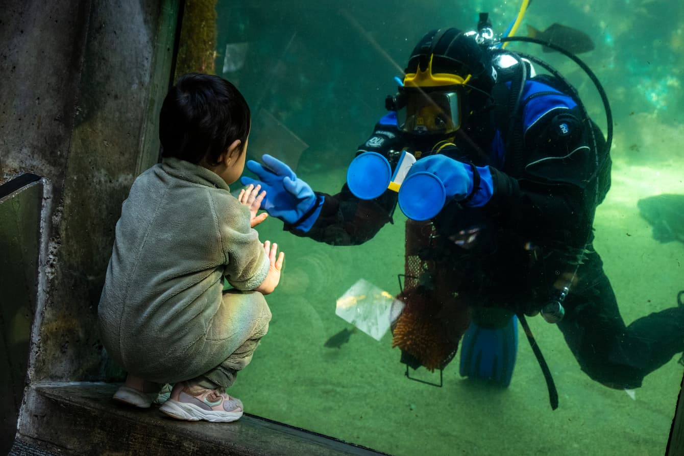 A young child pressing their hand up against the glass of the Underwater Dome habitat. A diver is pressing their hand against the other side of the glass.