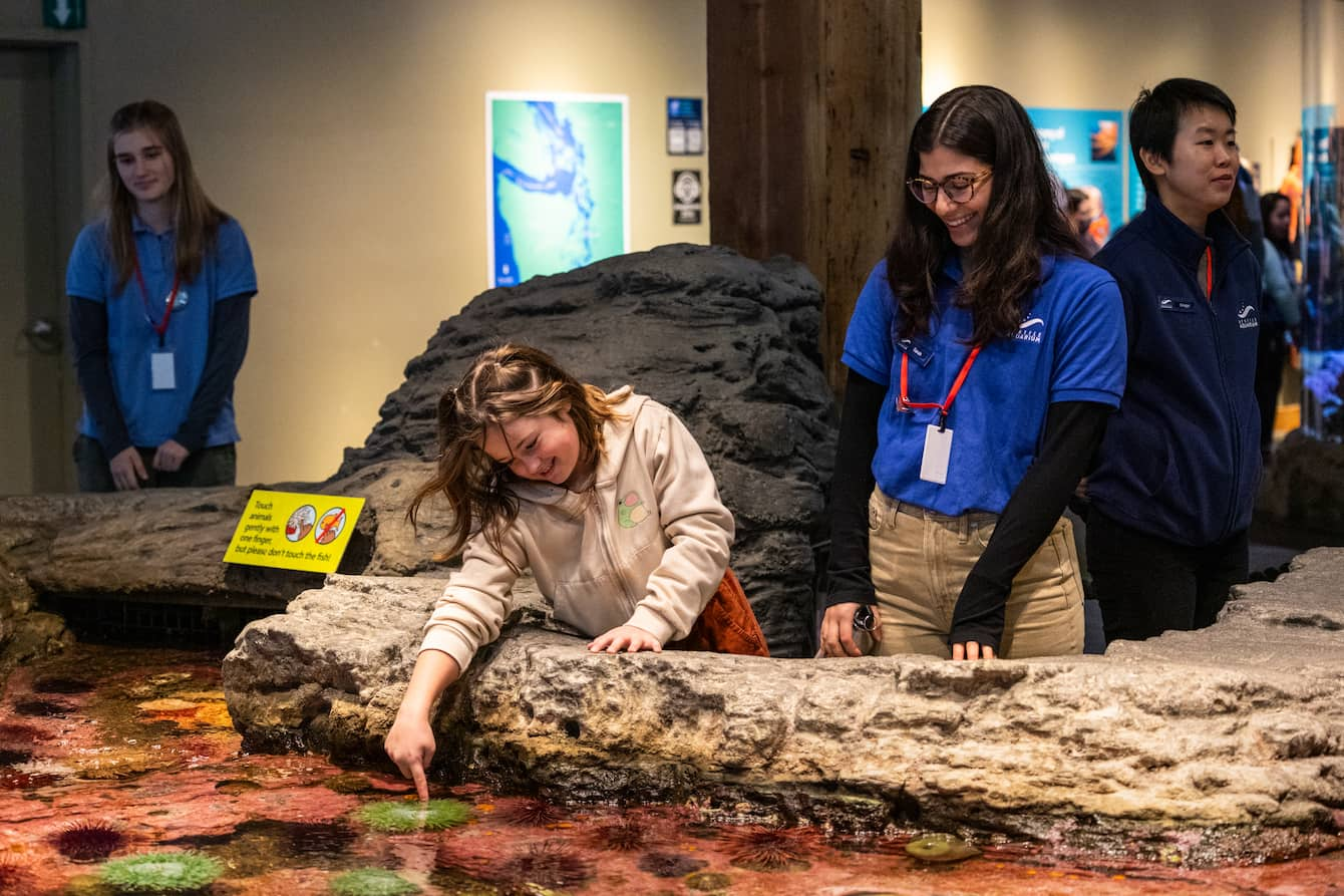 A Seattle Aquarium volunteer and a child interacting with the touch pools.