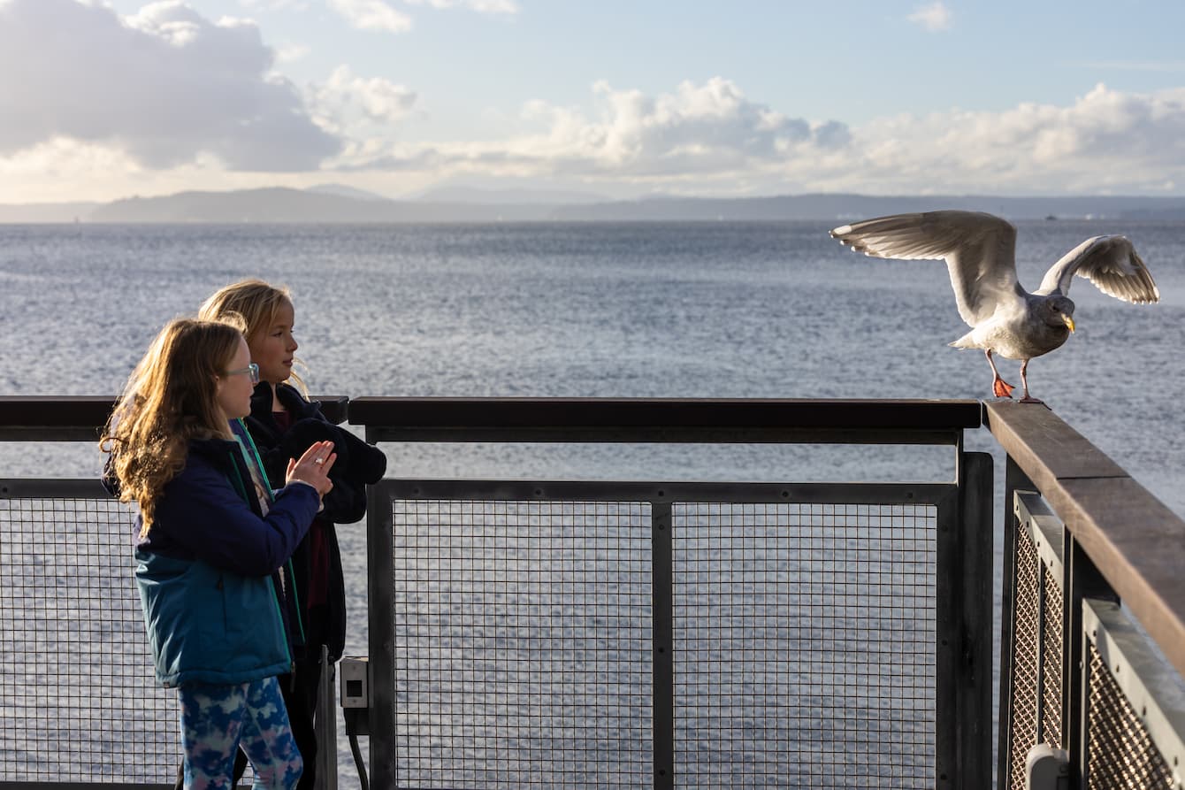 Two children looking at a seagull perched on the edge of the pier.