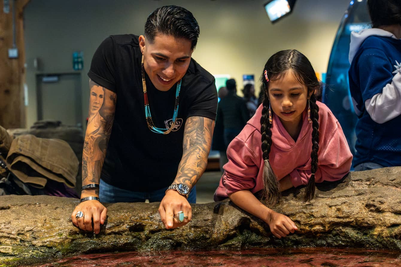 An adult and a child leaning over to touch creatures in the touch pools.