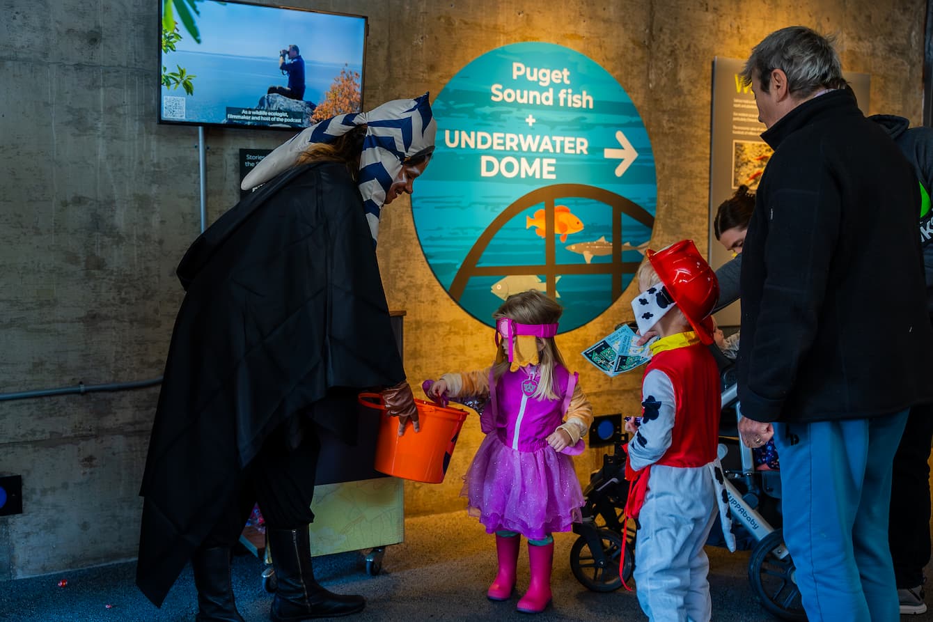 Two young children dressed as Marshal and Skye from Paw Patrol receiving candy from an adult dressed as Ahsoka from Star Wars.