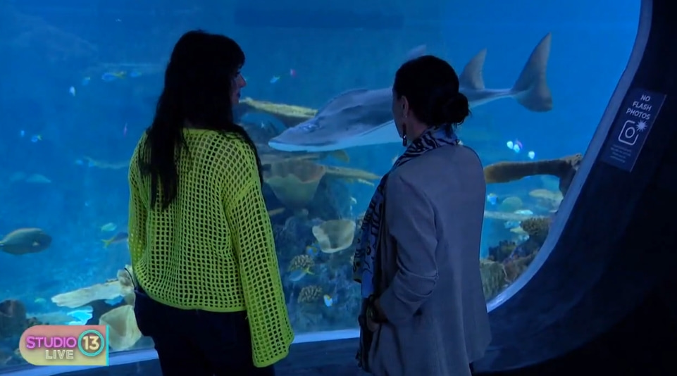 Two women standing in front of The Reef habitat in the Seattle Aquarium's Ocean Pavilion.