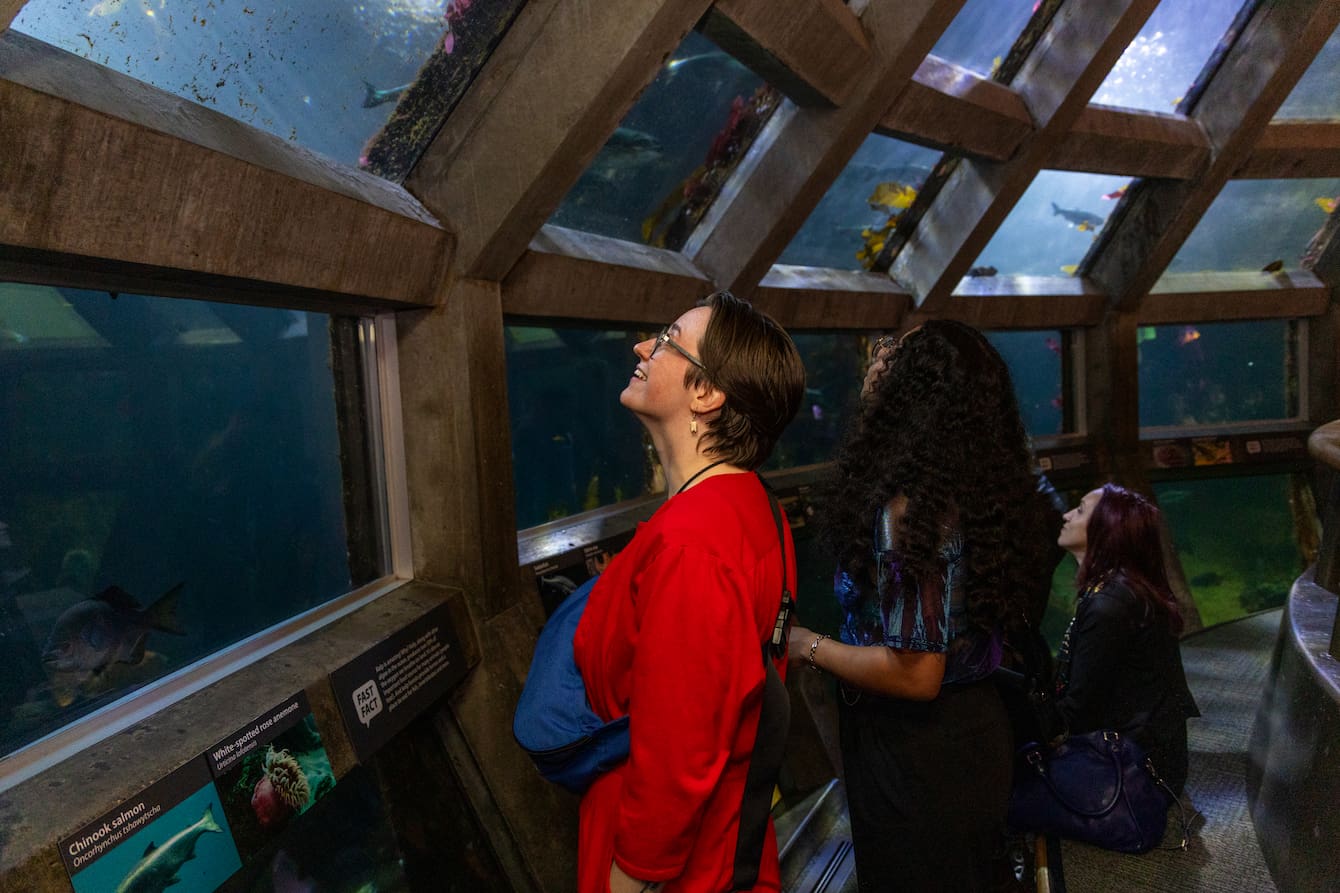 Three people looking up at the Underwater Dome habitat.