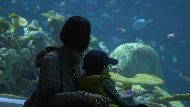 A woman and a young child looking into The Reef habitat in the Ocean Pavilion.