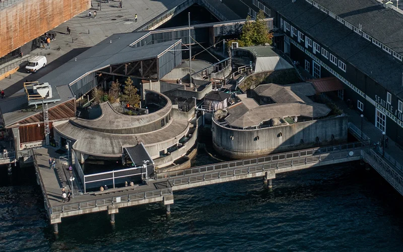 Exterior aerial view of Seattle Aquarium's Pier 60 spaces which include multiple habitats for marine mammals, birds and fish.