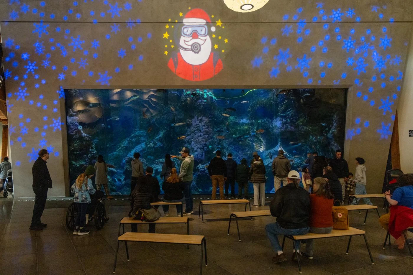 Guests in front of the Window on Washington Waters habitat at the Seattle Aquarium. Lights decorate the room with illuminated snowflakes and a cartoon Santa, promoting the Aquarium's Diving Santa event.