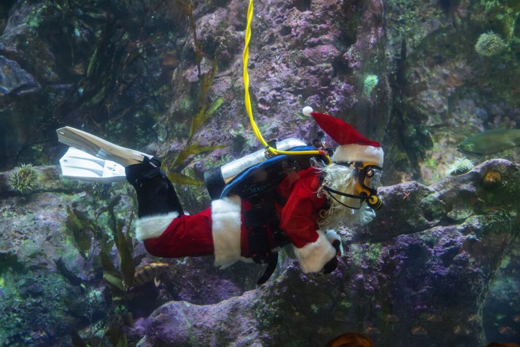 An underwater diver dressed up as Santa.