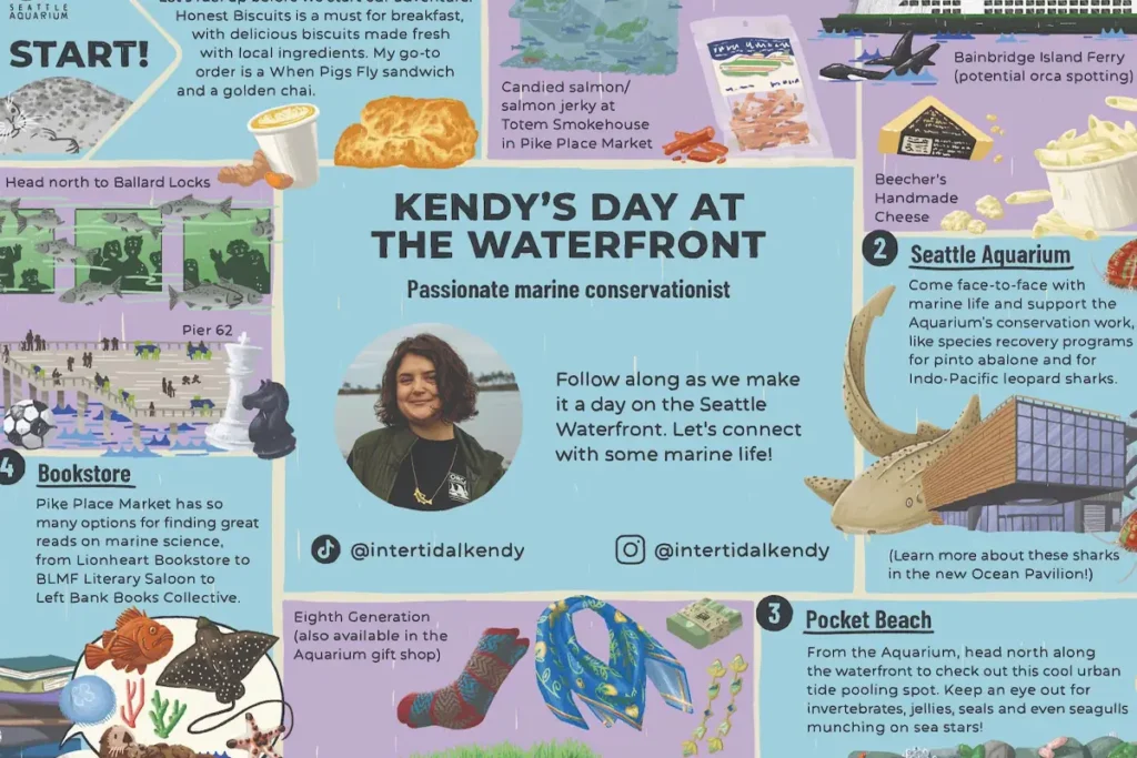 An illustrated itinerary showing Seattle waterfront recommendations by Kendy. The itinerary includes a photo of Kendy standing on a beach. Highlights are Honest Biscuits, the Seattle Aquarium, Pocket Beach and bookstores. The itinerary also mentions these waterfront destinations: Totem Smokehouse, the Seattle waterfront sea wall, Bainbridge Island ferries, Beecher's Handmade Cheese, Pioneer Square Habitat Beach, Eighth Generation products in the Seattle Aquarium gift shop, Pier 62 and the Ballard Locks.