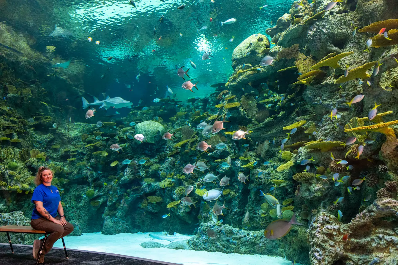 Charmaine, a woman with blonde hair tied back in a ponytail, sitting on a bench in front of The Reef habitat in the Ocean Pavilion. Charmaine is wearing a blue Seattle Aquarium shirt and brown pants. Schooling fish, rays and a bowmouth guitarfish are swimming in the habitat behind her.