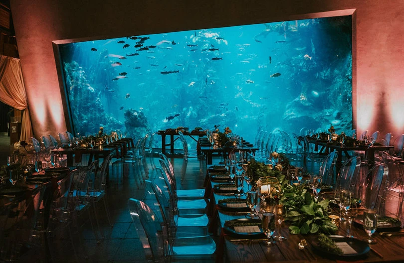 Tables and chairs set up for a formal event in front of the Window on Washington Waters habitat at the Seattle Aquarium. The large glass window of the habitat showcases different fish swimming underwater.