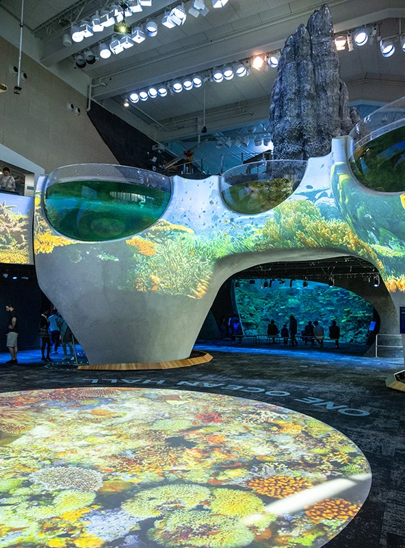 The One Ocean Hall area of the Seattle Aquarium's Ocean Pavilion, as seen from the ground floor looking toward The Reef and Archipelago habitats. Video projections of underwater habitats line the floor and wall.